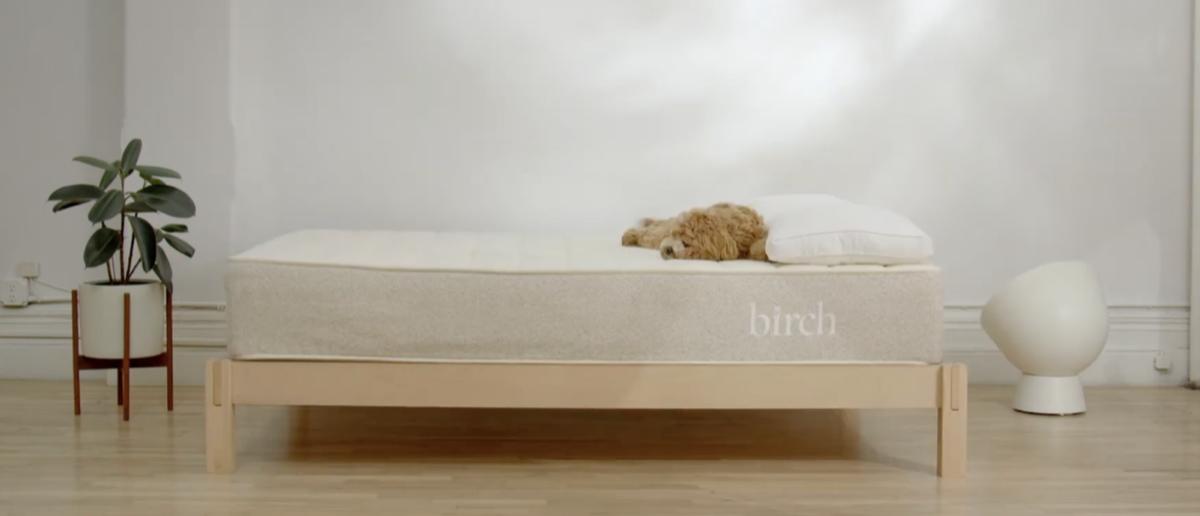 Madison Bed by Birch Living in bedroom