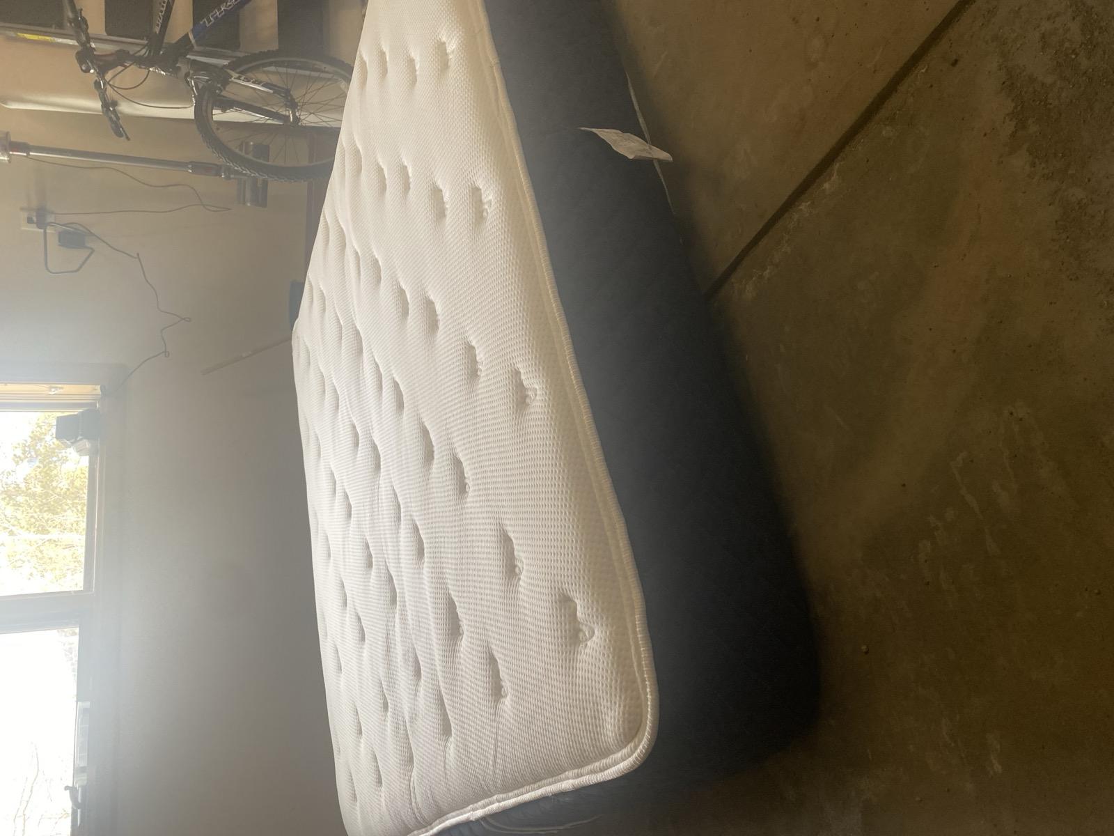 5-year-old Brooklyn Signature Hybrid at pickup
